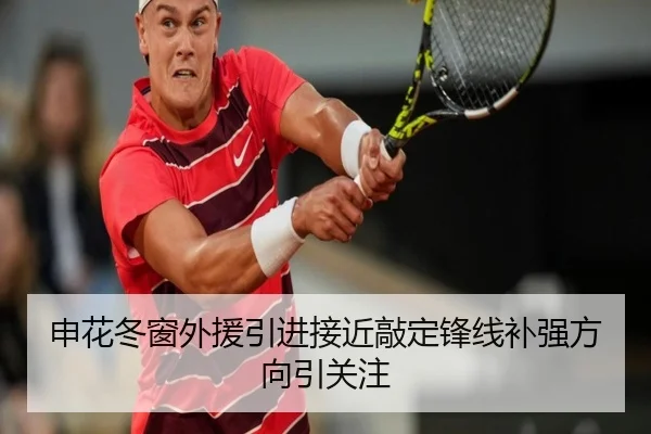 申花冬窗外援引进接近敲定锋线补强方向引关注